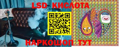 СК Моздок