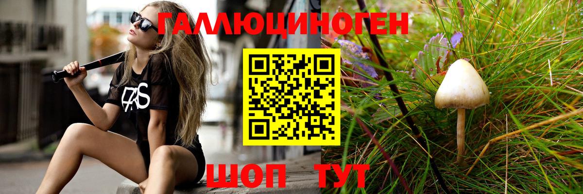 Галлюциногенные грибы прущие грибы  Галлюциногенные грибы Psilocybe  Вход с VPN  Канск 
